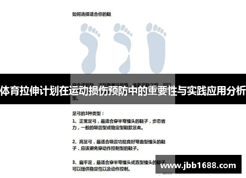 体育拉伸计划在运动损伤预防中的重要性与实践应用分析