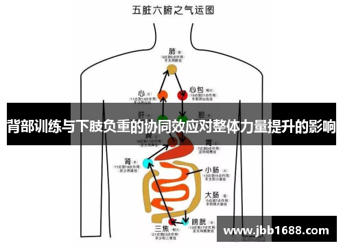 背部训练与下肢负重的协同效应对整体力量提升的影响